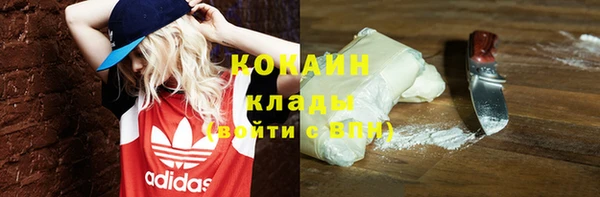 ГАЛЛЮЦИНОГЕННЫЕ ГРИБЫ Бородино