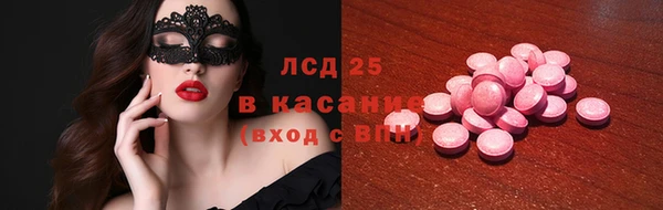 ГАЛЛЮЦИНОГЕННЫЕ ГРИБЫ Бородино