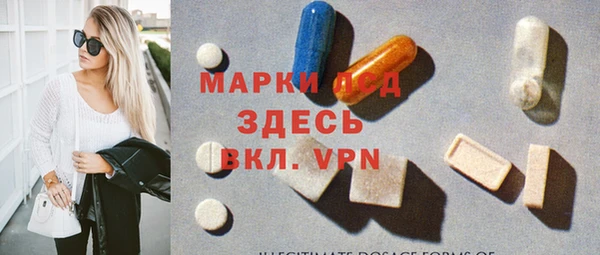 ГАЛЛЮЦИНОГЕННЫЕ ГРИБЫ Бородино
